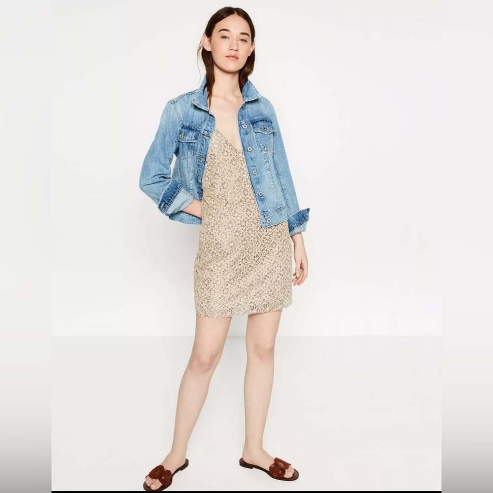 Zara Sz Med Slip Dress Beige Gray (Grey) Crochet Floral Low Back Mini Vneck